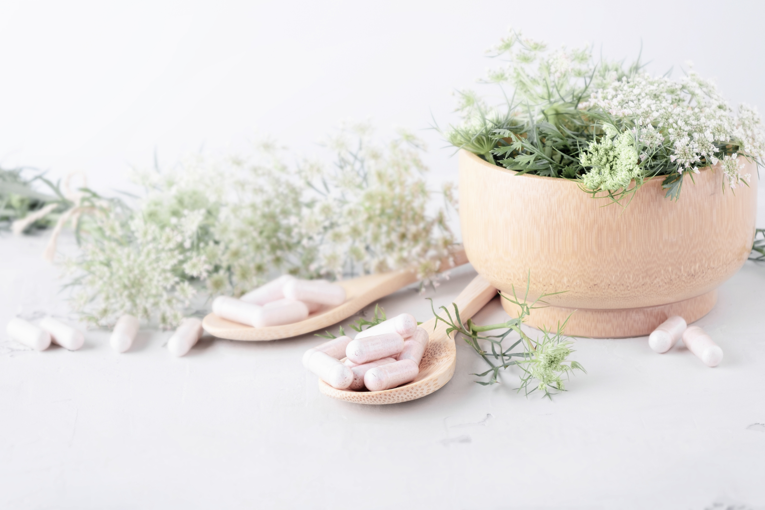 Photo Inspiration (landscape supplements)