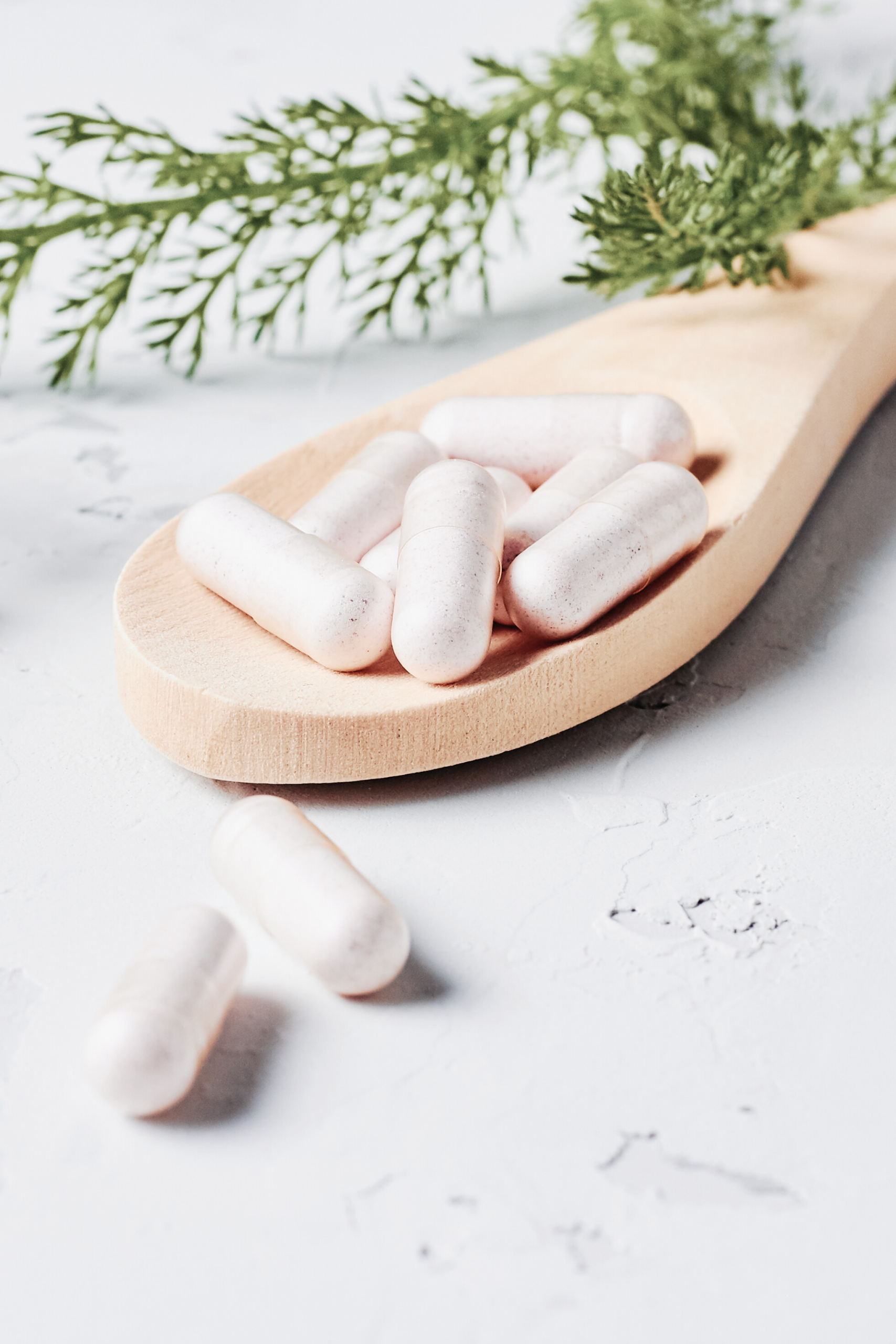 Photo Inspiration (portrait supplements)-2